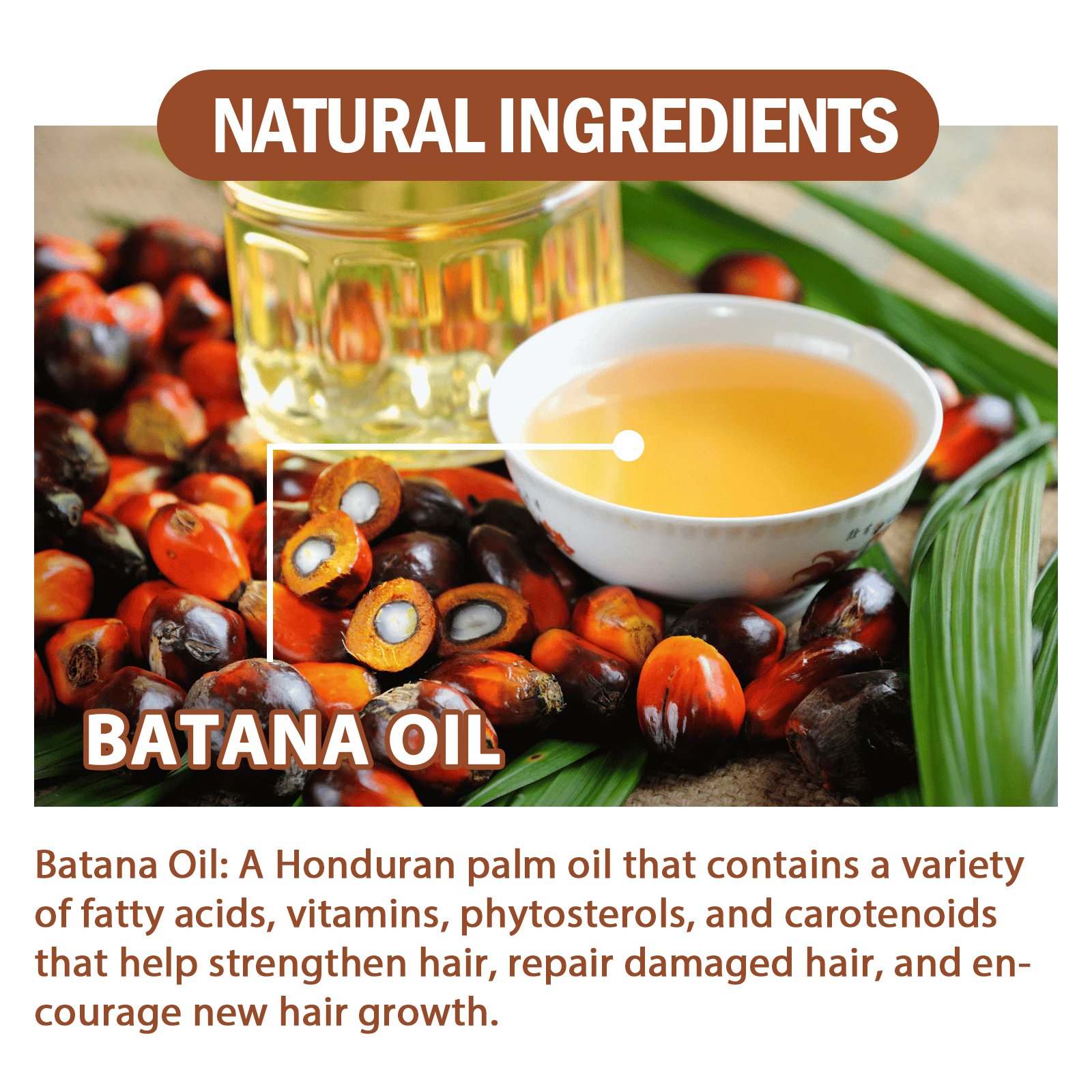 Batana Oil Conditioner Moisturizes, Hydrates, Improves Dry Hair, Softens And Fluffs Hair Care - Image 4