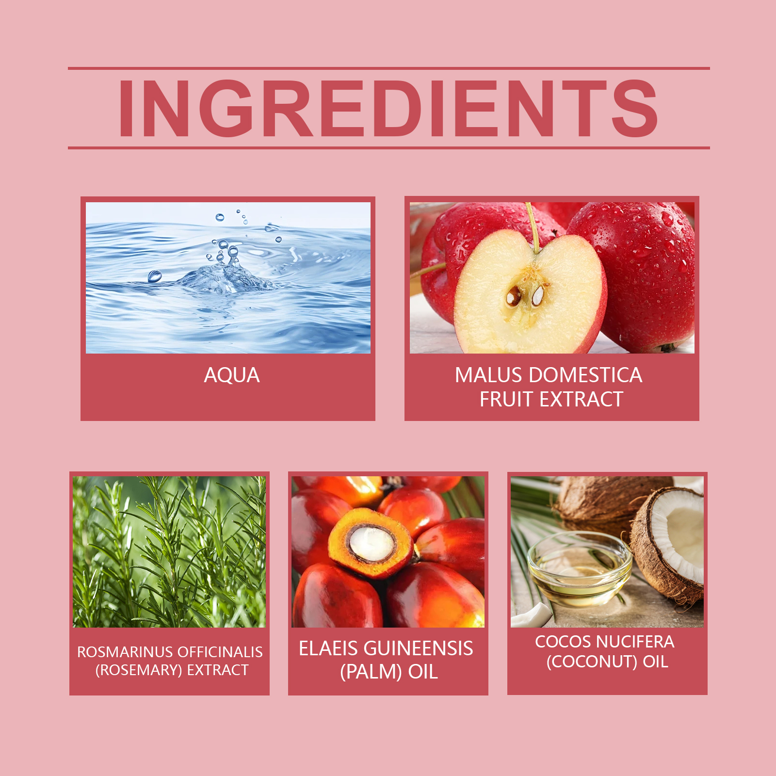 Hoegoa Leave-In Hair Care Essence Rosemary Begonia Hair Care Essence Strengthens And Nourishes Hair - Image 5