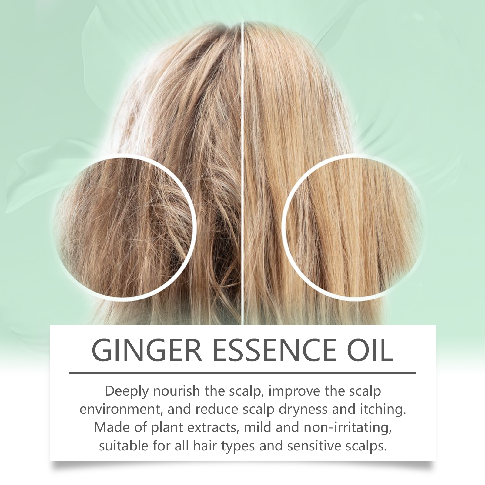 Ginger Hair Care Essential Oil Mild Ingredients Herbal Ginger Nourishes Hair Soft Beautiful Essential Oil - Image 4