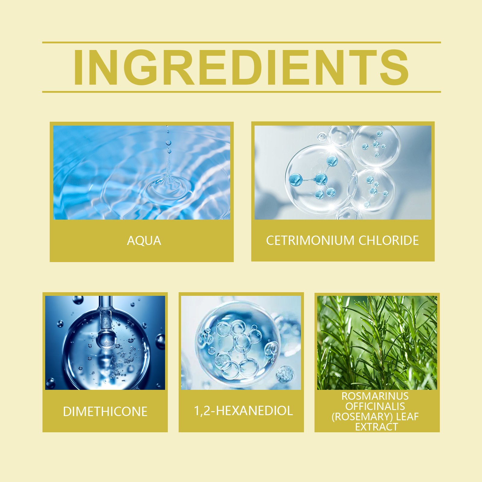 EELHOE Rosemary Conditioner Repairs Dry Hair, Moisturizes Hair Strands, Makes Hair Smooth And Improves Frizz - Image 5