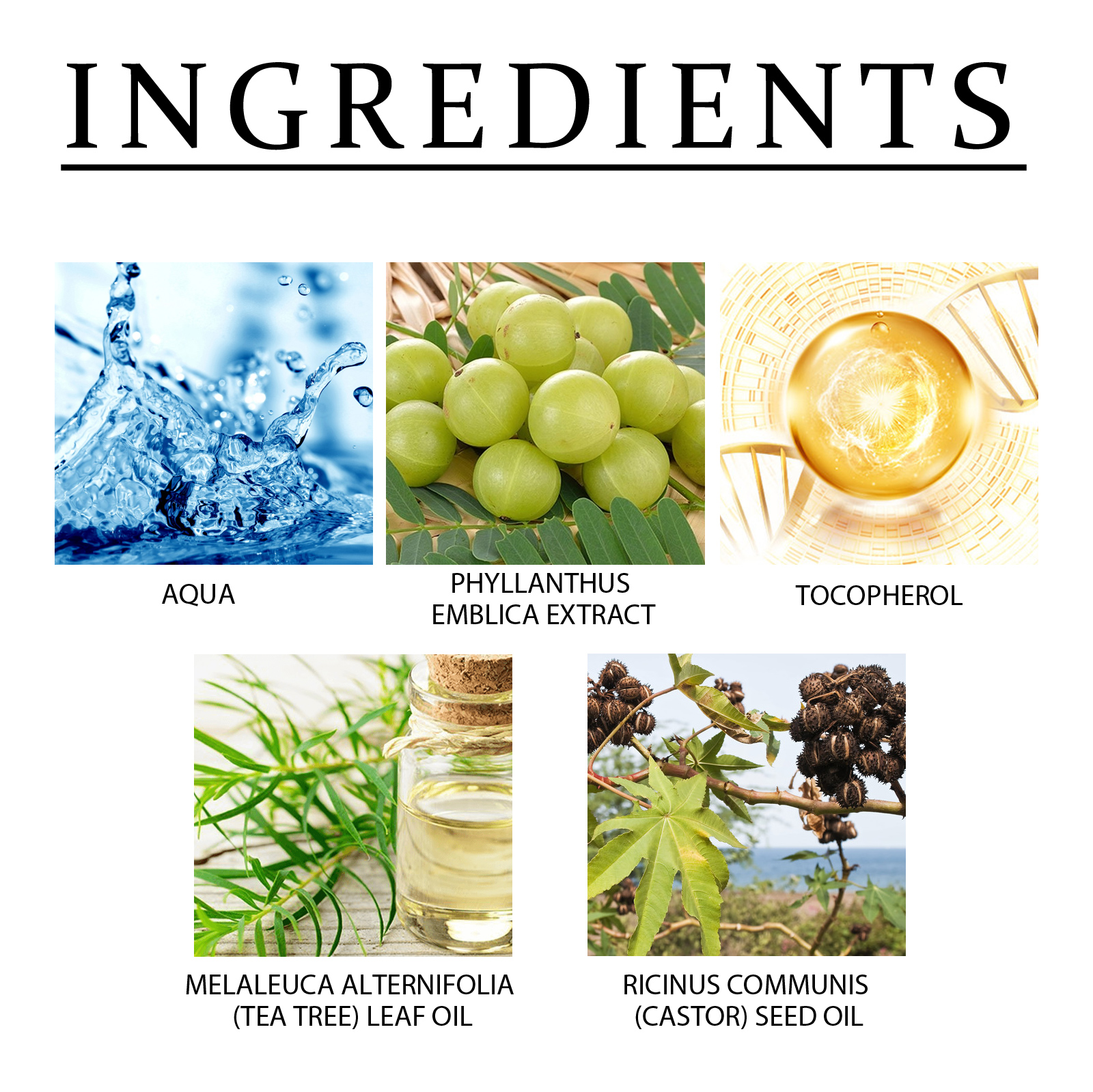 Amla Anti Hair Thinning Shampoo, Scalp Cleanness Moist Smooth Shiny Hair, Dense Hair Wash Protect Suits - Image 6